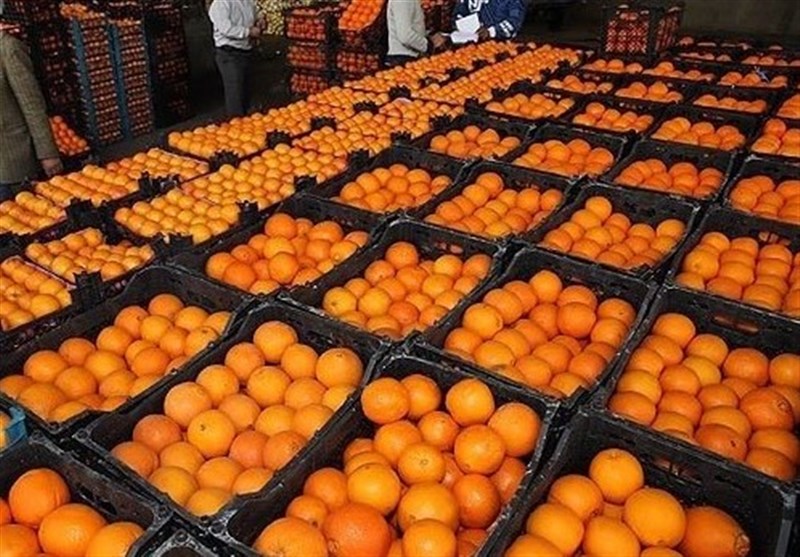 همدان| میوه 20 درصد ازران‌تر از بازار در غرفه‌های مخصوص برای شب عید عرضه می‌شود
