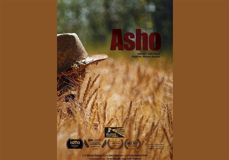 2 خبر کوتاه سینمایی|«آشو» در میلنیوم و فرایبورگ، «باد دوچرخه‌سوار» در تاملویدز