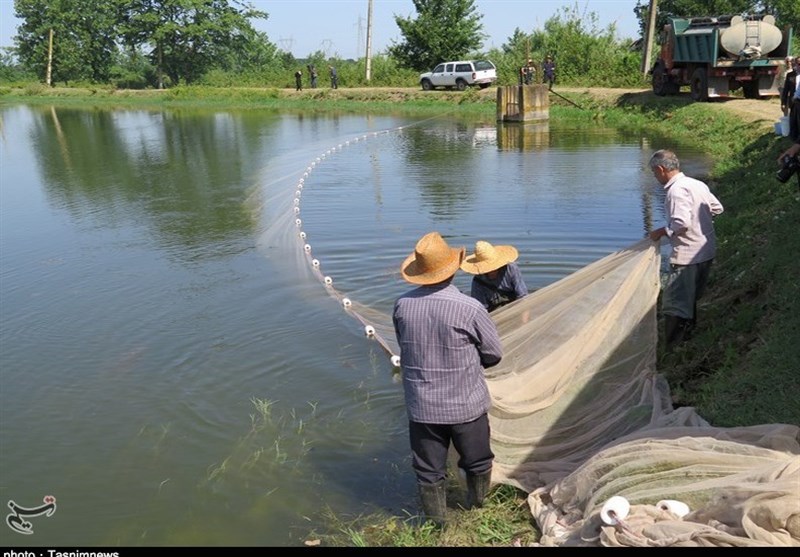 «معجزه آبخیزداری» | گفتگو؛ دربارۀ ابعاد «مدیریت جامع حوزۀ آبخیز»