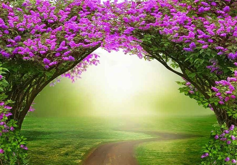 یادداشت| صحیفه عمل ما خبر از بوی بهار نمی‌دهد