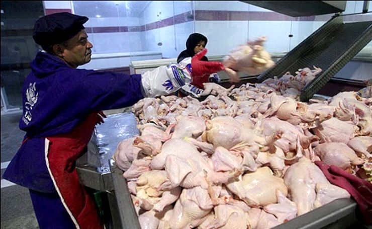 گوشت مرغ 35 هزار تومانی با وجود تخصیص ارز دولتی