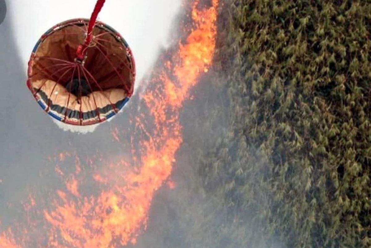 آتش سوزی گسترده در تالاب انزلی/ اعزام بالگرد اطفای حریق به مناطق دچار حریق