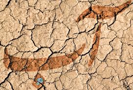 خشکسالی زنگ خطری برای طبیعت البرز
