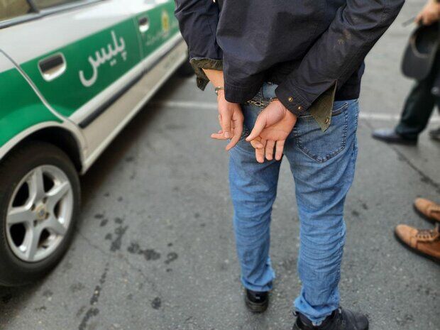 دستگیری سرشبکه های یک شرکت هرمی فعال در البرز