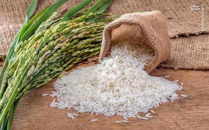 ترمز قیمت برنج کشیده شد + قیمت جدید برنج در بازار