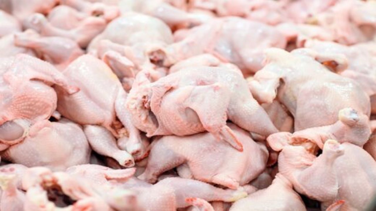 گوشت گرم مرغ به صورت انبوه در بازارهای البرز تامین شده است