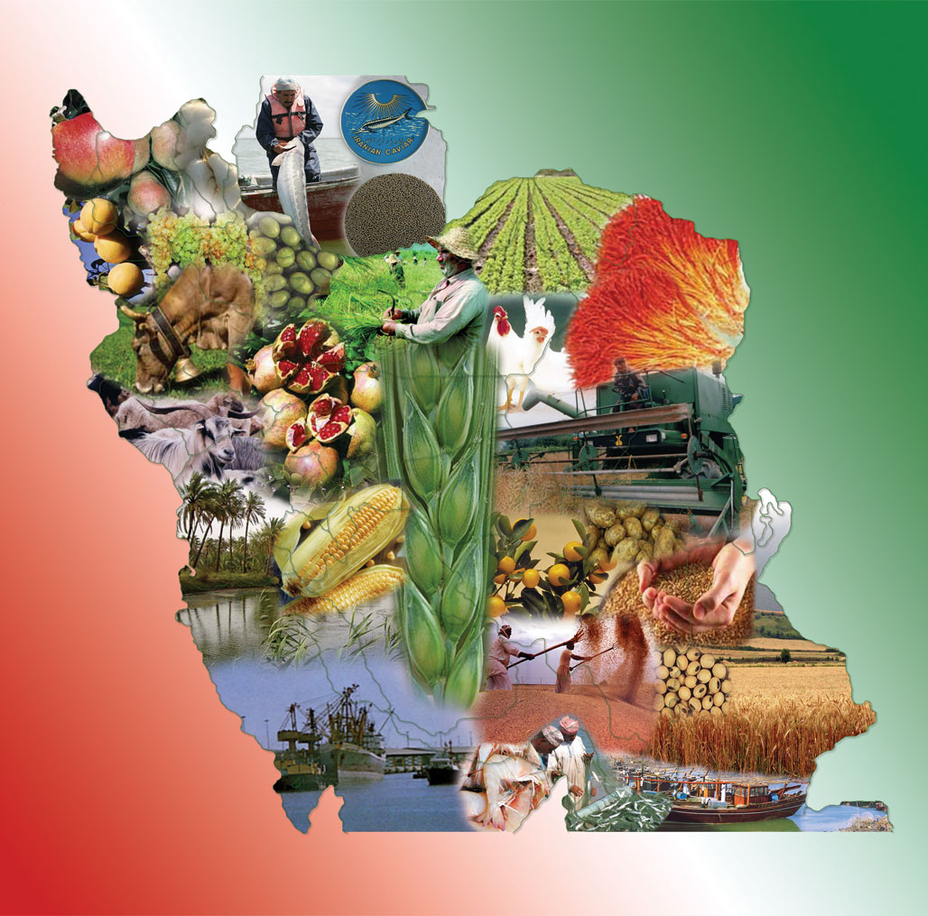 محصولات کشاورزی ایران کاملاً سالم است/ مصرف کمتر کود شیمیایی در ایران حتی از کشور‌های اروپایی