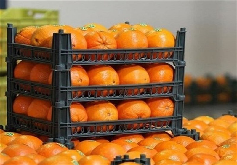 روزانه ۱۰۰ کانتینر میوه و تره‌بار از استان البرز به خارج صادر می‌شود