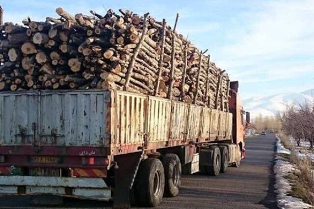 کشف ۱۶ تن چوب قاچاق در اشتهارد