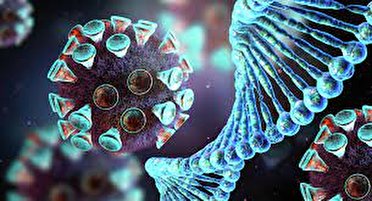 سومین روز متوالی فوتیهای ۲ رقمی در البرز سومین روز متوالی فوتیهای ۲ رقمی در البرز