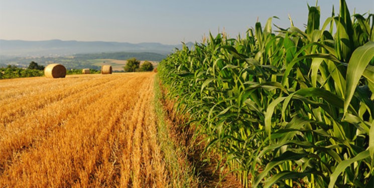 کشاورزی، قلب سبز اقتصاد البرز