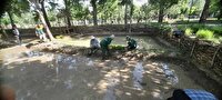 آغاز عملیات شالیکاری کشت برنج در پارک ملی ایران کوچک