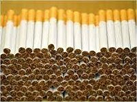 کشف ۱۱۳ هزار نخ سیگار قاچاق در شهرک بنفشه