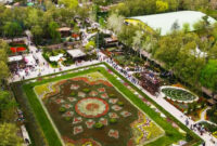 شهر کرج خواستگاه ترویج گل لاله در کشور شناخته شده است
