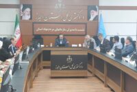 استفاده از ظرفیت سمن ها منجر به کاهش معضلات اجتماعی می شود