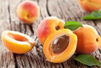 خوردن هسته‌ زردآلو بی‌خطر است؟