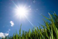 آسمانی صاف همراه با وزش باد