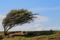 پیش بینی وزش باد و گرد و غبار در استان البرز