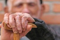 بهره مندی ۲ هزار سالمند از خدمات بهزیستی