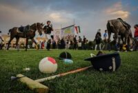 تیم چوگان البرز در جایگاه نخست کشور تیم چوگان البرز در جایگاه نخست کشور