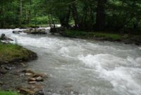 آزادسازی ۸۳ هکتار از حریم و بستر رودخانه‌های استان البرز