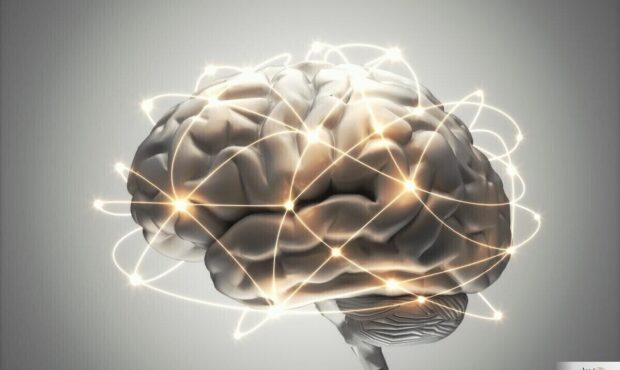 گیاهی که حافظهتان را تقویت میکند: قدرت طبیعی در دستان شما! گیاهی که حافظهتان را تقویت میکند: قدرت طبیعی در دستان شما!