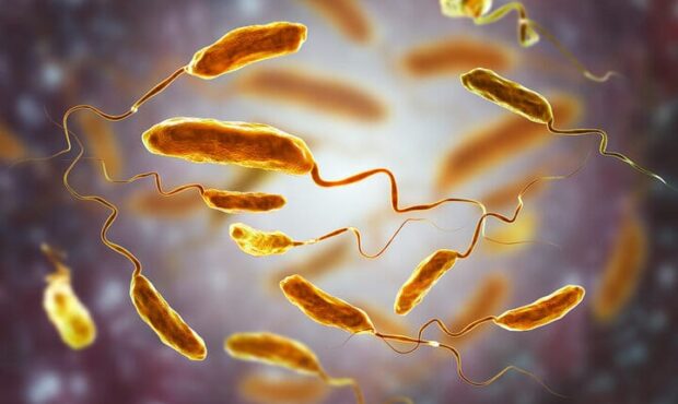 شناسایی ۱۹۱ نمونه مشکوک به وبا در پایشهای مرزی شناسایی ۱۹۱ نمونه مشکوک به وبا در پایشهای مرزی