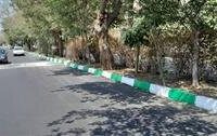 بلوار “ذکریا” بازگشایی شد